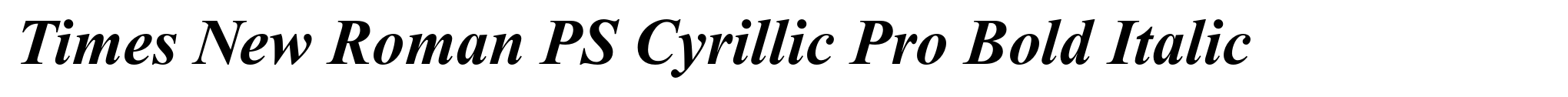 Times New Roman PS Cyrillic Pro Bold Italic image